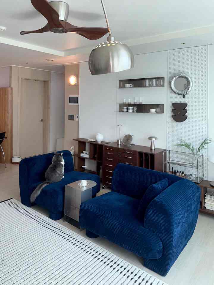 ホワイトとネイビーの色調のリビング、ネイビーのソファ2脚と猫が配置されたモダンで洗練された空間