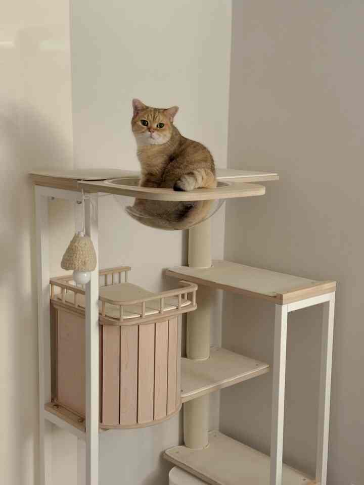 ナチュラルカラーのペットスペース、キャットタワーの上に座る猫がいる雰囲気のあるインテリア