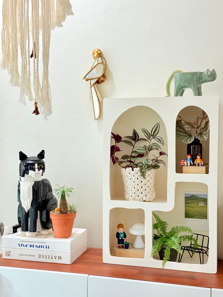 short form carousel card thumbnail