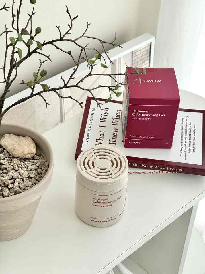 White and beige toned clean space featuring a plant and perfumed odor removing gel in a minimalist setting