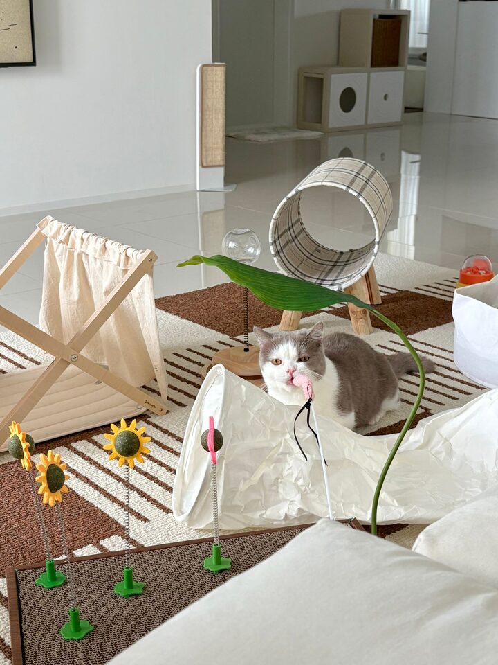 short form carousel card thumbnail