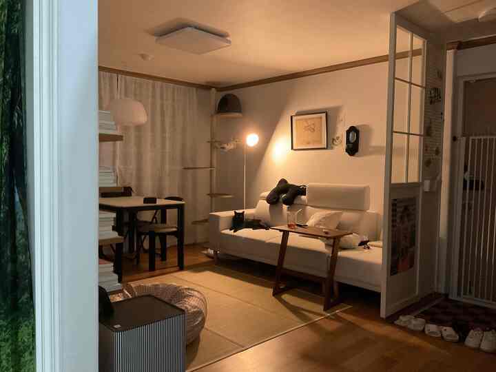 ＜ペットの日常記録＞
かわいい猫、ブドウの一日のルーチンを垣間見る🍇🐈‍⬛

スマート電球で午後6時に火がつくように設定しておきましたが、ぜひこの時間だけになるとソファに座っていたんですよㅎㅎぶどうだけのルーチンみたいな感じですよㅎㅎソファの隅に座ってキッチンで料理するお待ちですよ🐈‍⬛🐈

今日の家