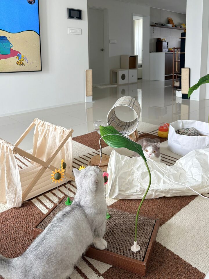 short form carousel card thumbnail