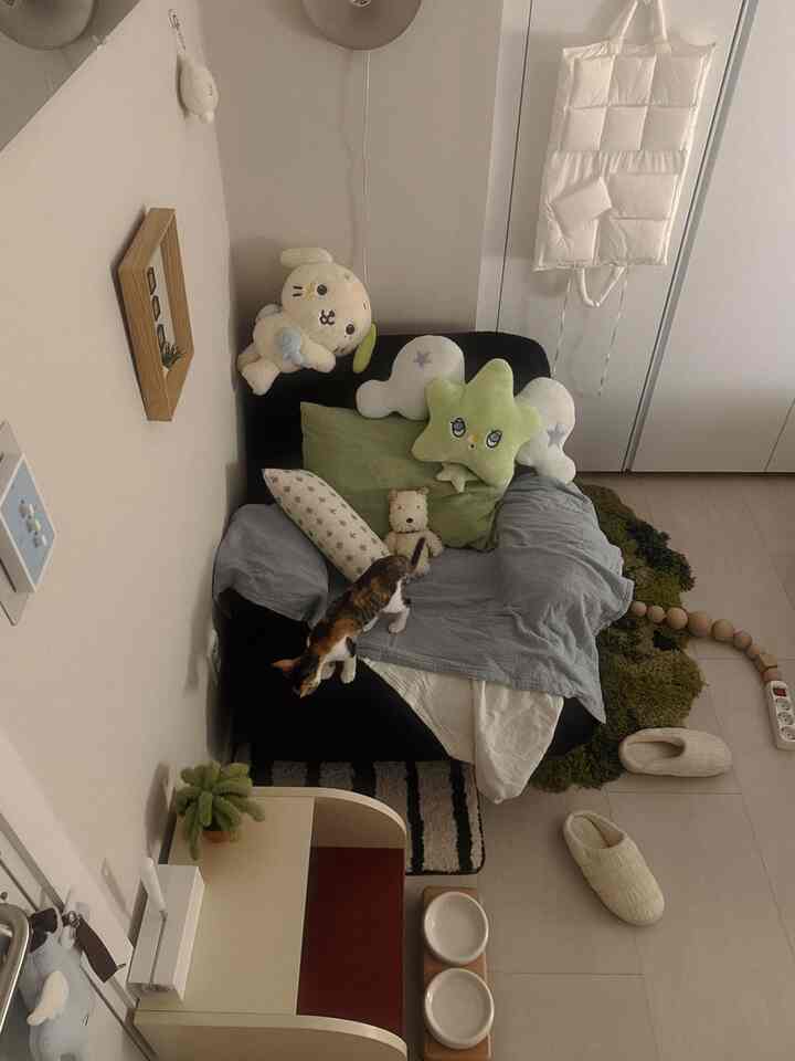 落ち着いたベージュとグリーンの色調の1人暮らしワンルーム、黒い小さなソファとグリーンのラグ、猫とかわいいぬいぐるみがある雰囲気のある空間