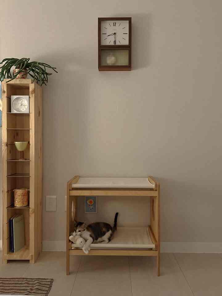 ベージュの色調のリビング、キャットハンモックの上に子猫がいる、落ち着いたミニマルな雰囲気のインテリア