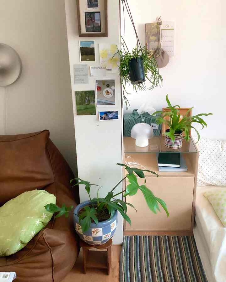 ナチュラルな色調の居心地の良い寝室、ブラウンのビーンバッグと複数の観葉植物、本棚とラグが配された暖かな雰囲気のインテリア