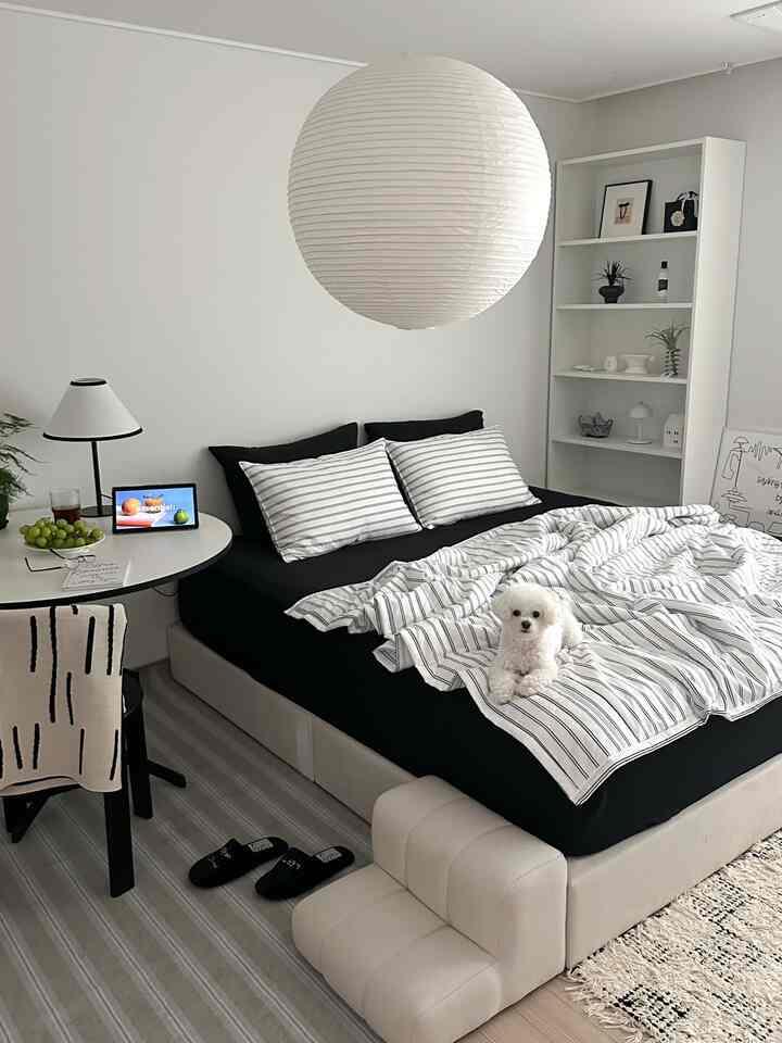 白と黒のトーンのナチュラルモダンな寝室、小型犬とペットステップのある印象的な空間