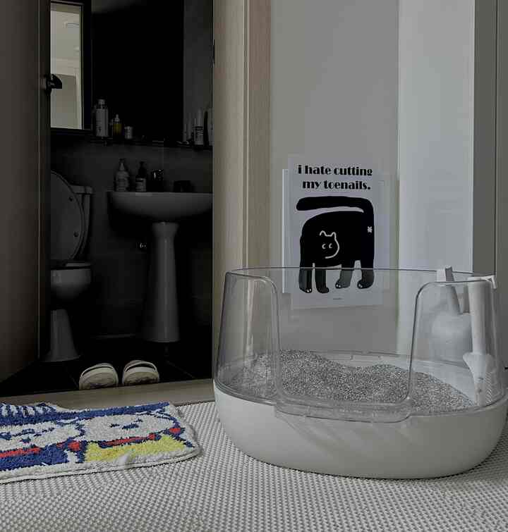 ホワイトトーンのトイレ隣接空間に、透明な猫トイレと青色のキャラクター風バスマットが配置された清潔なペットスペース