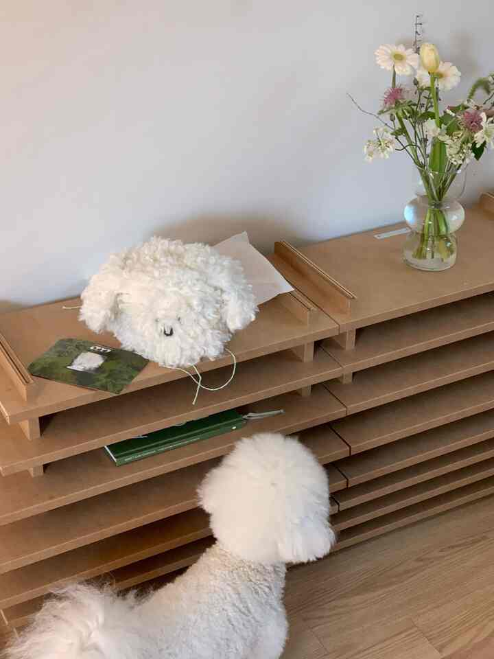 Natural color and wood tone shelving featuring a vase with flowers and a decorative object, with a white dog sitting below in a cozy interior