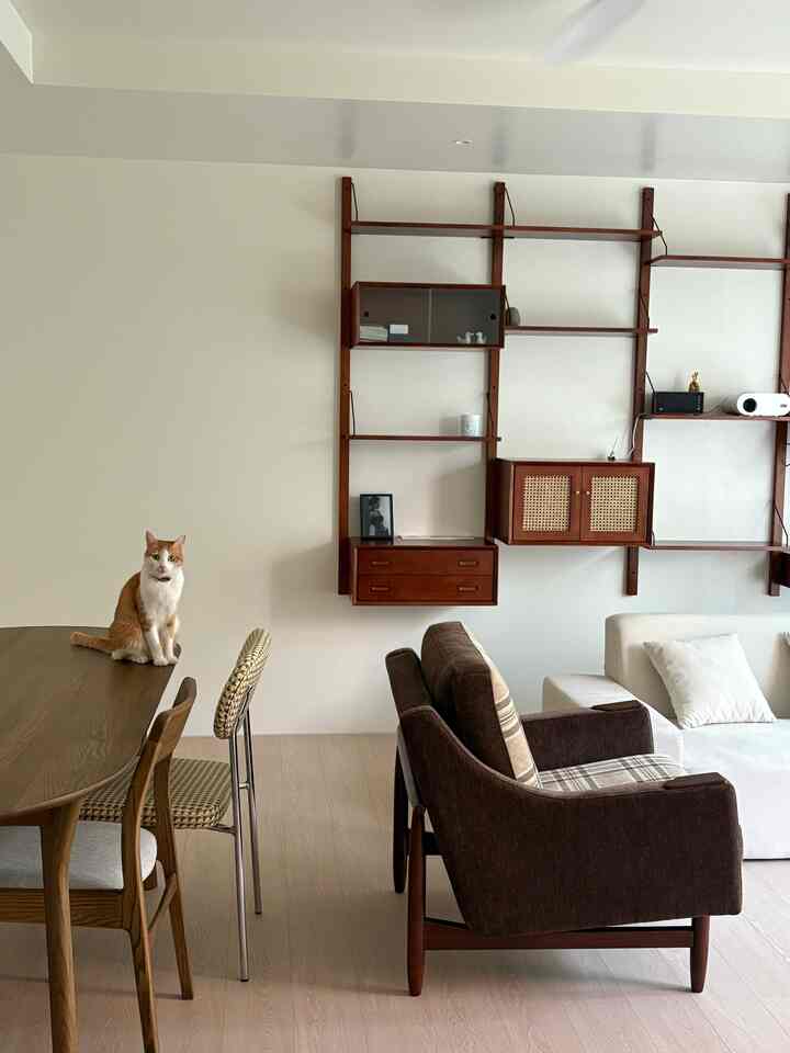 A white-walled living room with brown mid-century modern furniture and a cat sitting atop the dining table, creating a cozy atmosphere