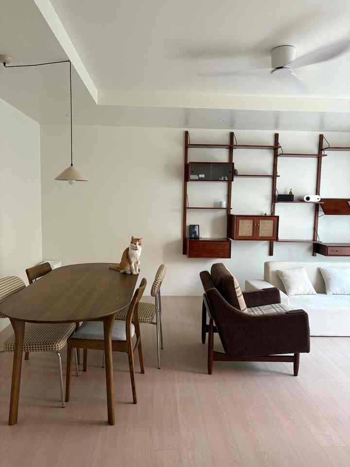 Natural modern dining and living room with wood-tone furniture and a cat, creating a clean and warm atmosphere