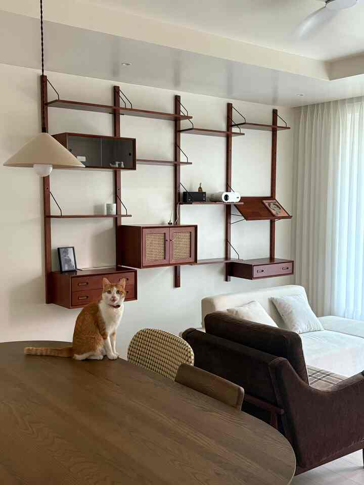 White and natural wood tone living room featuring a cat on the dining table with mid-century modern furniture setup