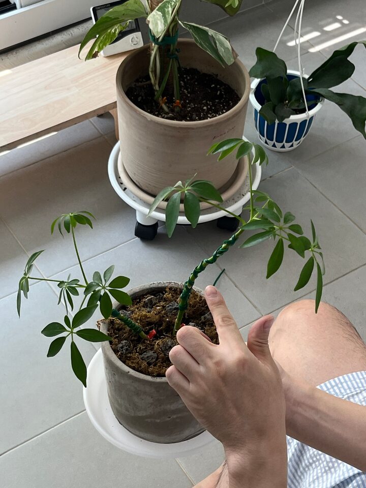 short form carousel card thumbnail