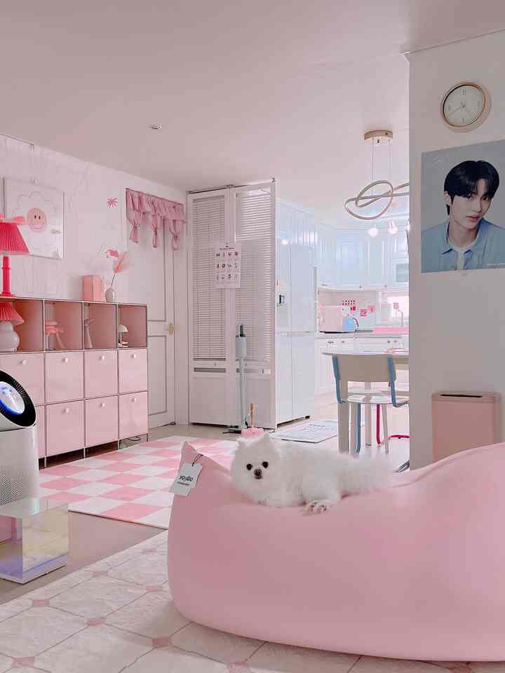 ピンクとホワイトのトーンでまとめられたコンパクトなワンルームのリビング・キッチン、犬がピンクのビーズクッションにいる雰囲気のあるインテリア