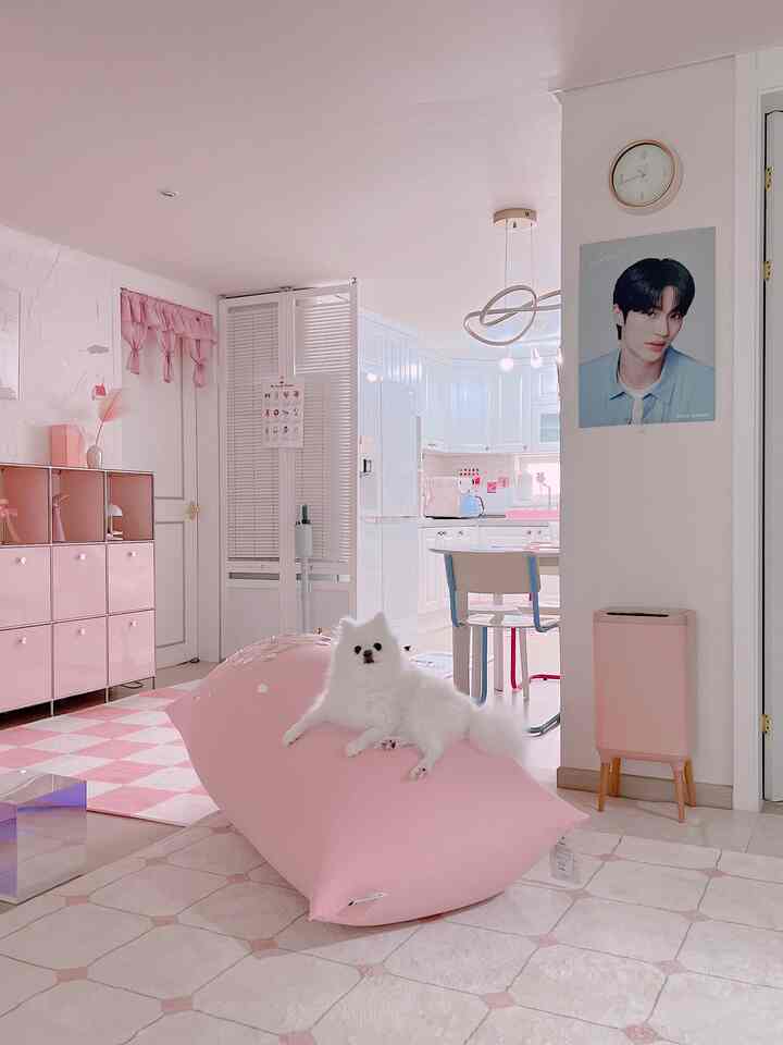 ピンクとホワイトの色調のリビング・ダイニング空間、ピンクのビーンバッグに座る白い犬が印象的な明るく落ち着いたインテリア