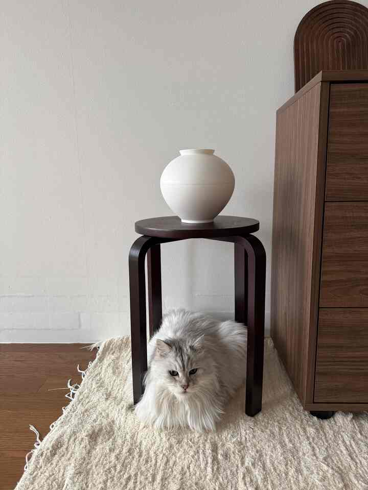 The hallway is my go-to photo spot.
I'd love to snap a few photos, but the squealing cats keep getting in the way.

But they're so adorable, I'm still taking them!

#housewithcats #아기가있는집 #아기가사는집 #애묘육아 #월넛인테리어 #마켓비인테리어 #마켓비스툴 #마켓비서랍
#portugueserug #달항아리 #우드인테리어 #코지인테리어