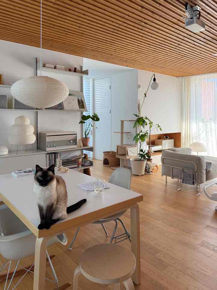 ナチュラルな木調と白を基調としたリビング・ダイニング空間、猫とキャットタワーが配置された雰囲気のあるインテリア