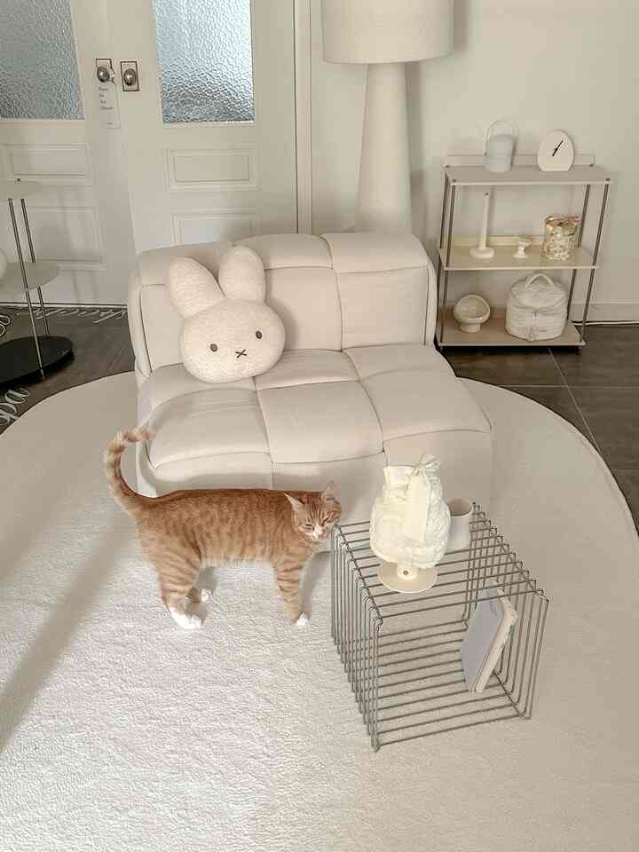 白を基調としたリビング、小さなソファにミッフィークッションと茶色の猫がいるミニマルな空間