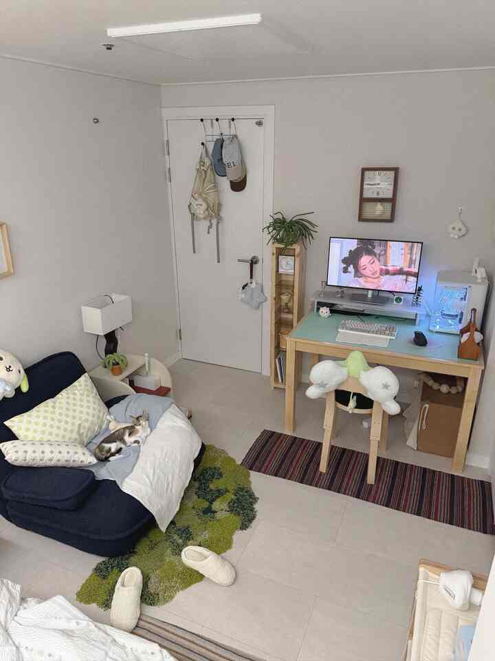 ネイビーのソファと木製デスクが置かれた小さな一人暮らしのリビング、猫とホームオフィスのある落ち着いた空間