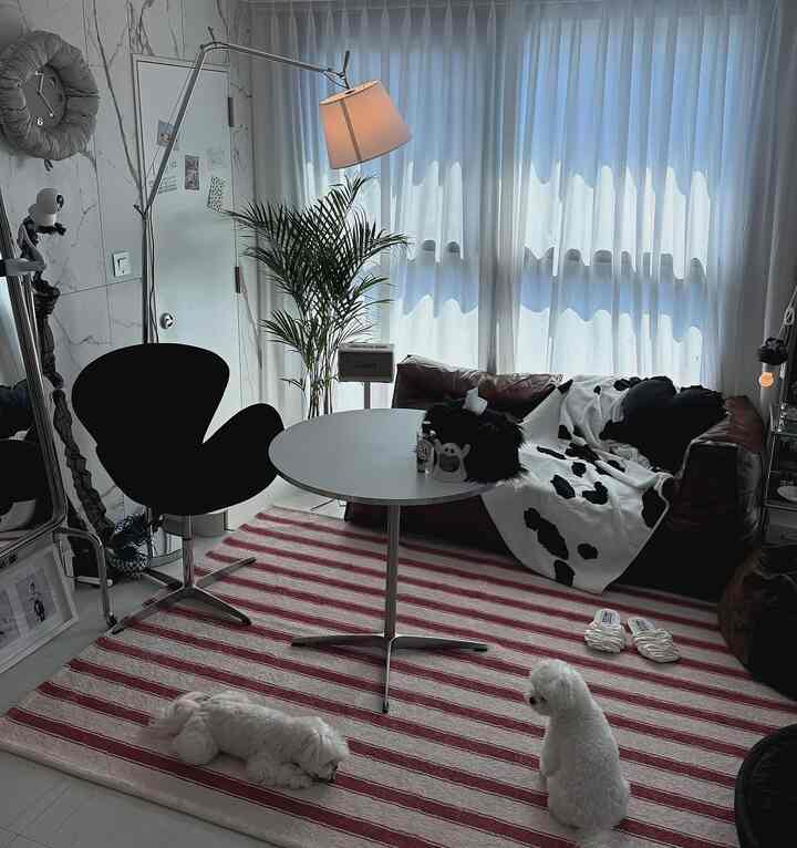 ホワイトとレッドの調和が美しいリビング、ミッドセンチュリーモダンの椅子とソファ、2匹の小犬がいる温かみのある空間