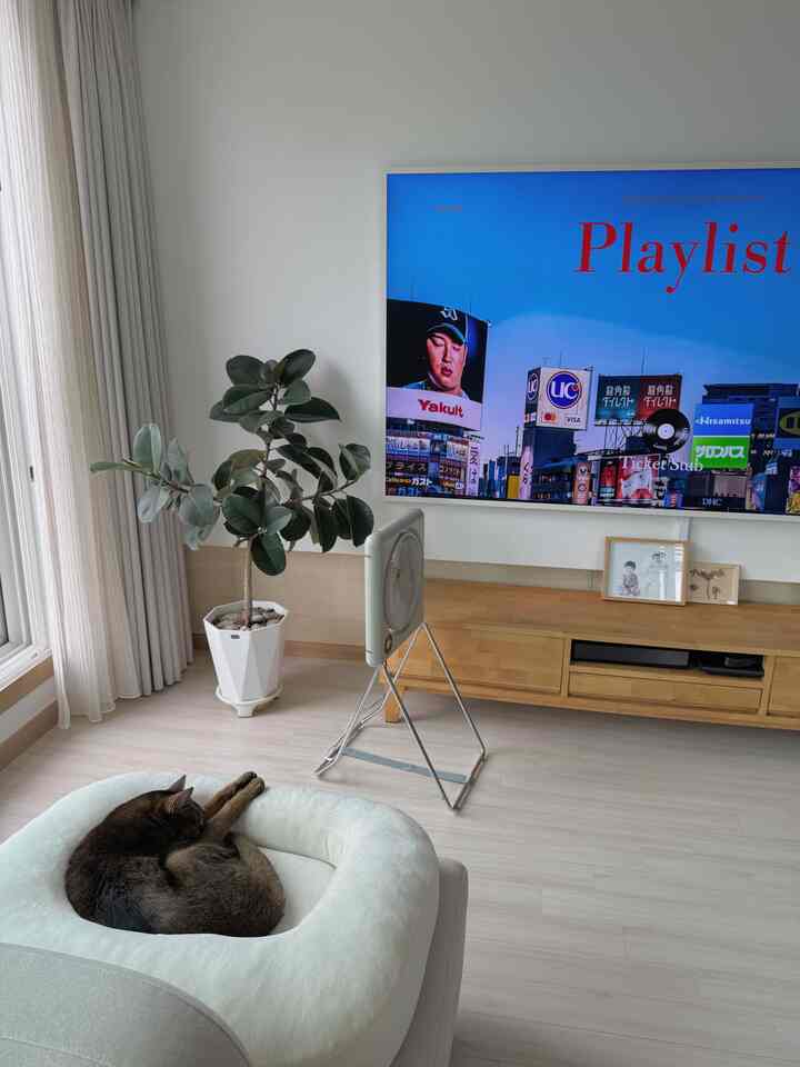 白と木目調のリビング、大きな植物と猫用ベッド、壁掛けテレビが配置されたシンプルでモダンな印象的な空間
