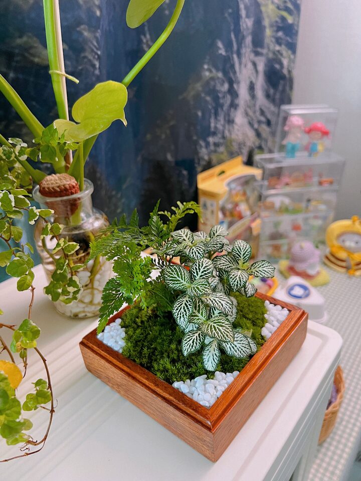 short form carousel card thumbnail