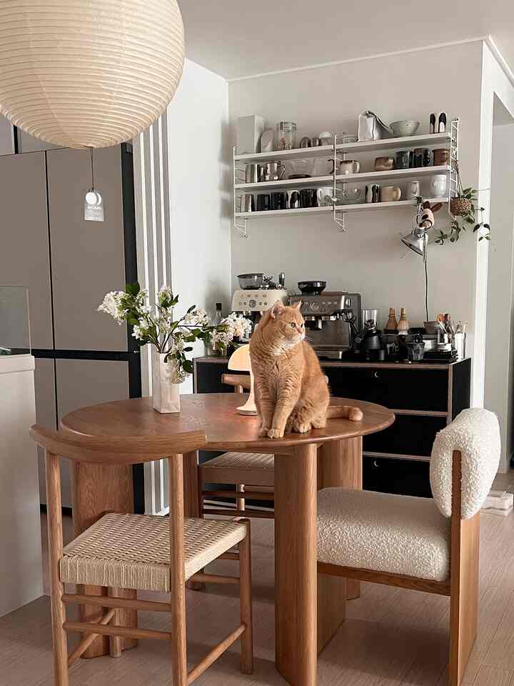ホワイトとブラウンの木目調が特徴のナチュラルモダンなキッチン、丸テーブルと椅子、テーブルに座る猫がいる印象的な空間