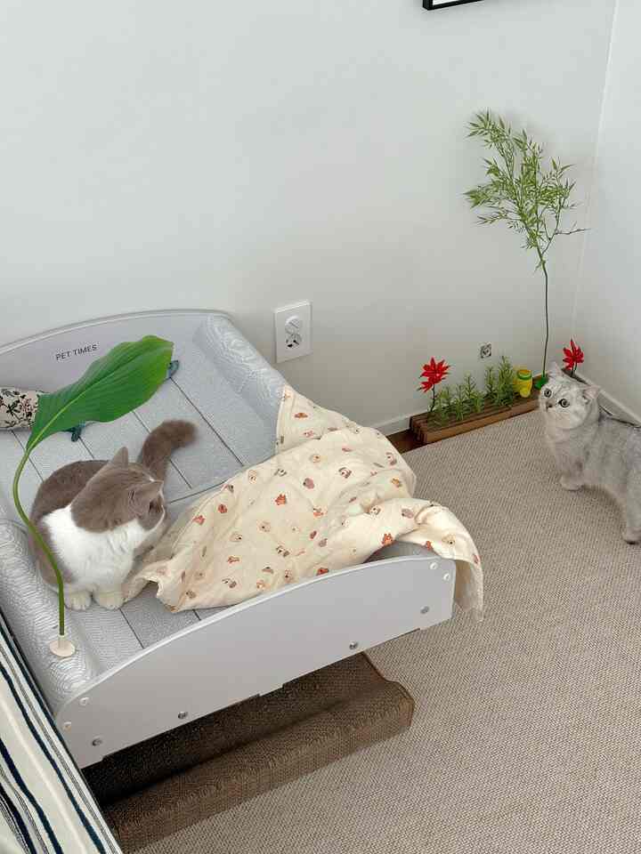 ナチュラルなトーンの寝室、キャットベッドと爪とぎが配置された温かみのある雰囲気のインテリア