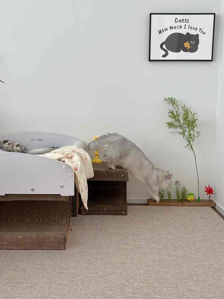 明るいホワイトトーンの寝室、猫の爪とぎやペットベッド、ラグが配置されたナチュラルで清潔感のあるペットスペース
