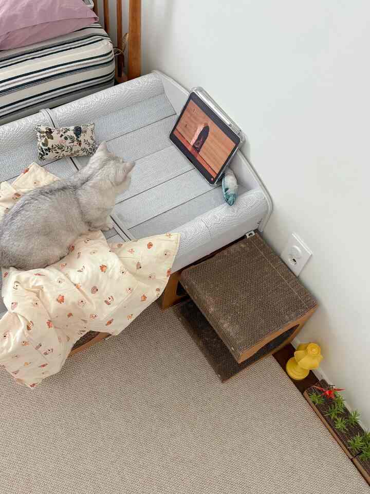 ベージュと木目調の落ち着いた小さな寝室、キャットスクラッチャーミニベッドとラグが配置された雰囲気のある空間