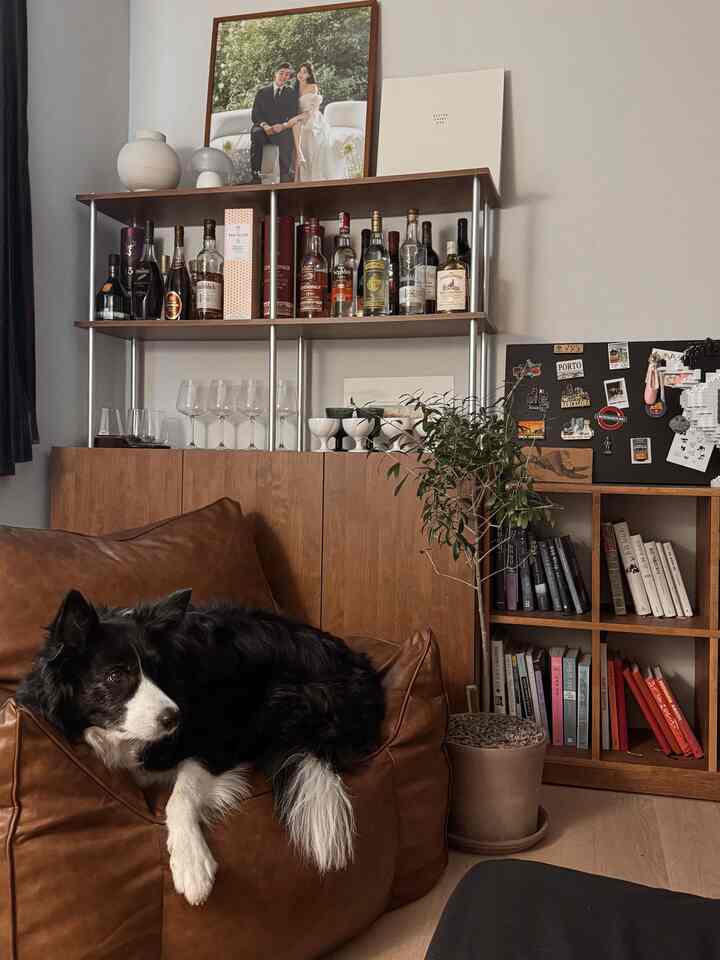 ナチュラルな木目調の家具と茶色のビーンバッグの上に犬が座っているリビングルーム