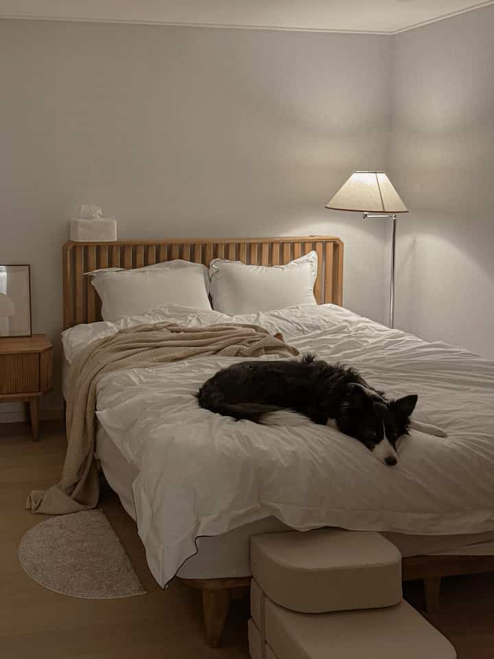 ウッドトーンとホワイトの寝室、ベッドの上に犬が横たわり、フロアランプが温かみのある雰囲気を演出しているインテリア