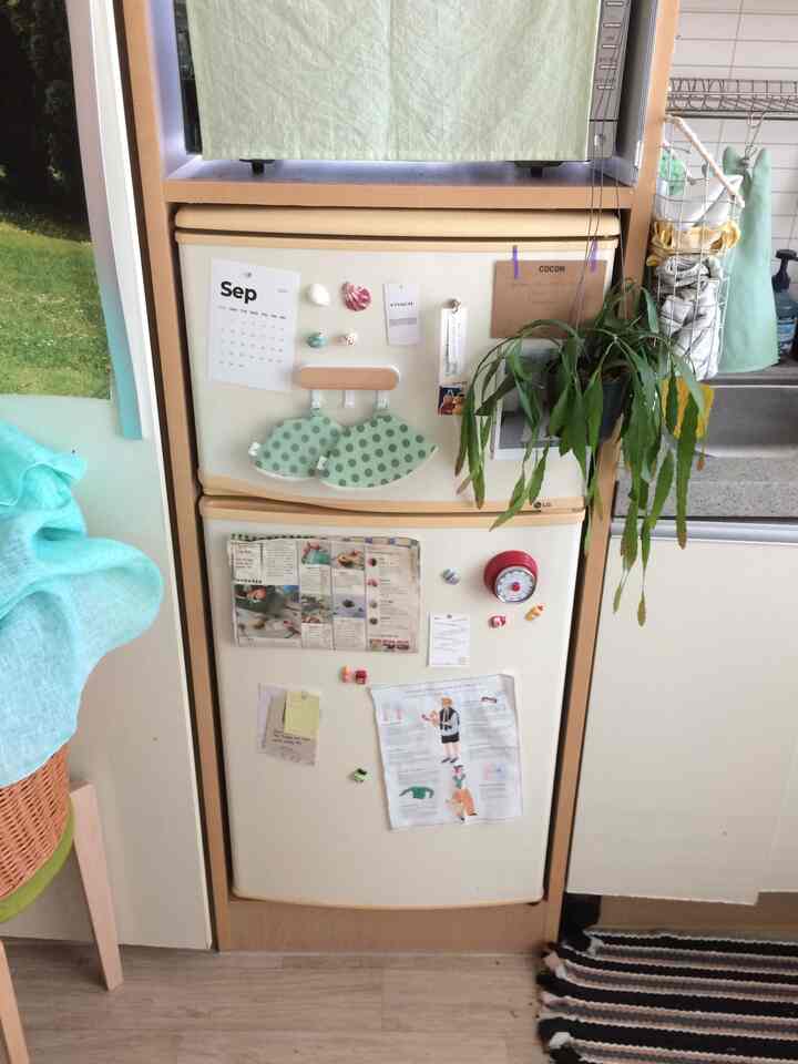 ベージュとナチュラルカラーの調和がとれたキッチン、装飾された冷蔵庫と緑の観葉植物が配置された雰囲気のある空間