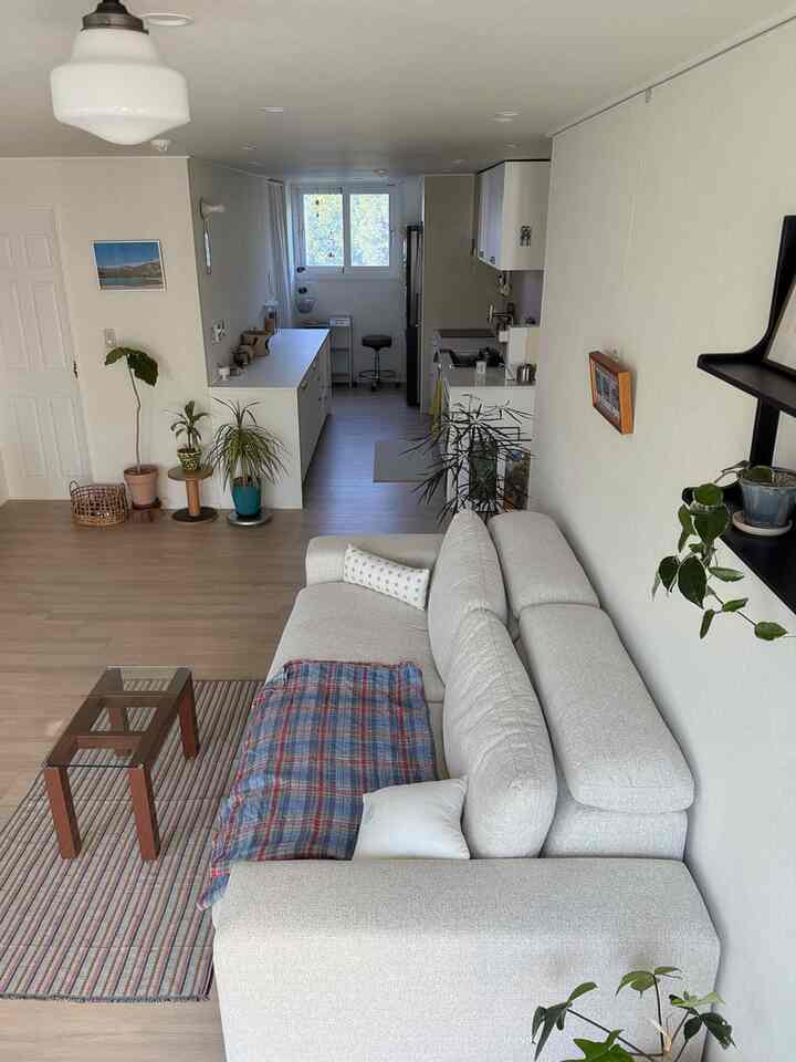 Natural tone compact living room connected to kitchen featuring beige sofa and plants creating cozy atmosphere