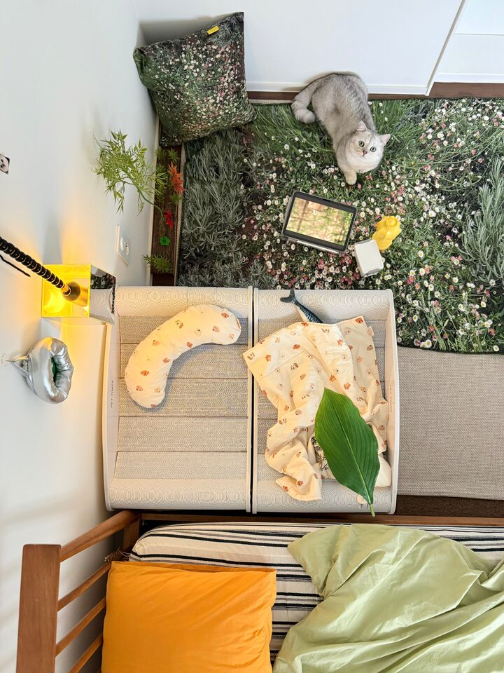 short form carousel card thumbnail