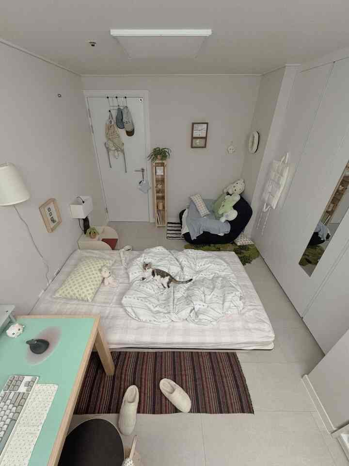 白とナチュラルな色調のワンルーム、中央に猫のいるベッドとデスク、棚が配置された雰囲気のあるインテリア