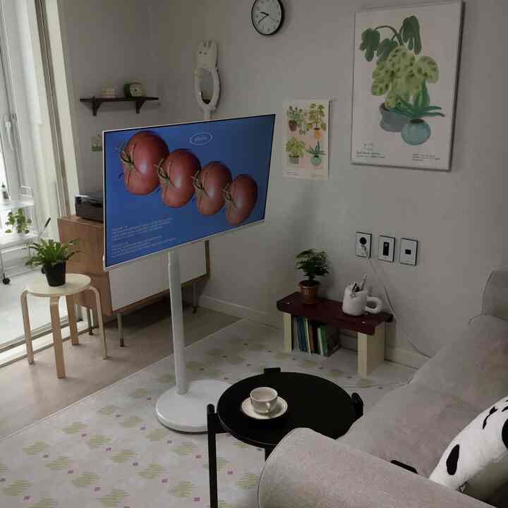 明るいホワイトとナチュラルトーンのリビング、ソファとテレビ台、植物が配置された落ち着いた雰囲気のインテリア