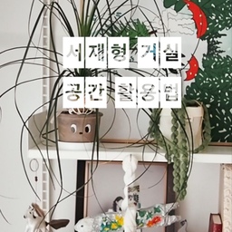 카우치가 있어 구조 바꾸기 어려운 모듈 소파…! 
벽면에 일렬로 붙이면 가장 깔끔하지만,
공간이 조금 밋밋한 느낌이 많이 들더라고요🥹 
서재 공간이 조금 좁아지긴 하지만
카우치 소파 등받이를 PC쪽으로 향하도록 돌려서 
작은 가벽처럼 활용해봤어요 :) 
접이식 원형 테이블이 있는 작업 공간과 
식물이 있는 편안한 분위기의 소파 공간으로 분리 완료 😉
11월쯤 트리 꺼낼때도 이 구조가 괜찮을 것 같아서 
한동안은 요렇게 미니 서재에 갇혀 지내보려구요 ㅎㅎ 
#콘수프필름 #서재형거실 #공간활용법 #거실서재화 #서재형거실인테리어 #거실서재 #거실서재인테리어 #공간분리 #공간분리인테리어 