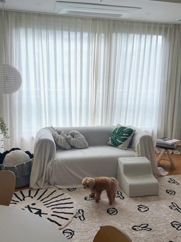 明るいホワイトトーンのカーテンとナチュラルな木目床、犬とペット用階段のある居心地の良いリビングルーム