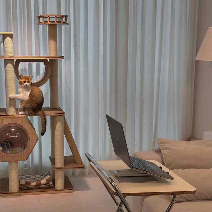 暖かいベージュ色調のリビング、ソファと折りたたみデスクにノートパソコンが置かれ、キャットタワーに猫がいる雰囲気のあるホームオフィス