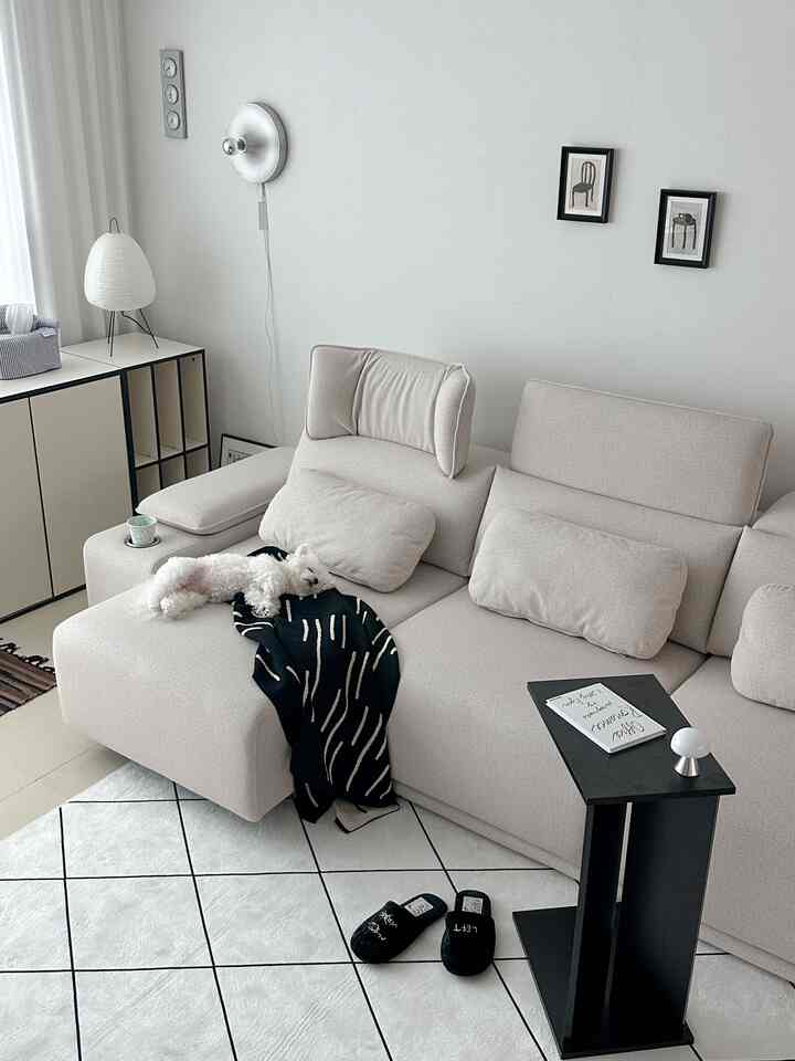 白い壁と床、ベージュのソファとペットの犬がいるシンプルモダンな北欧風リビング