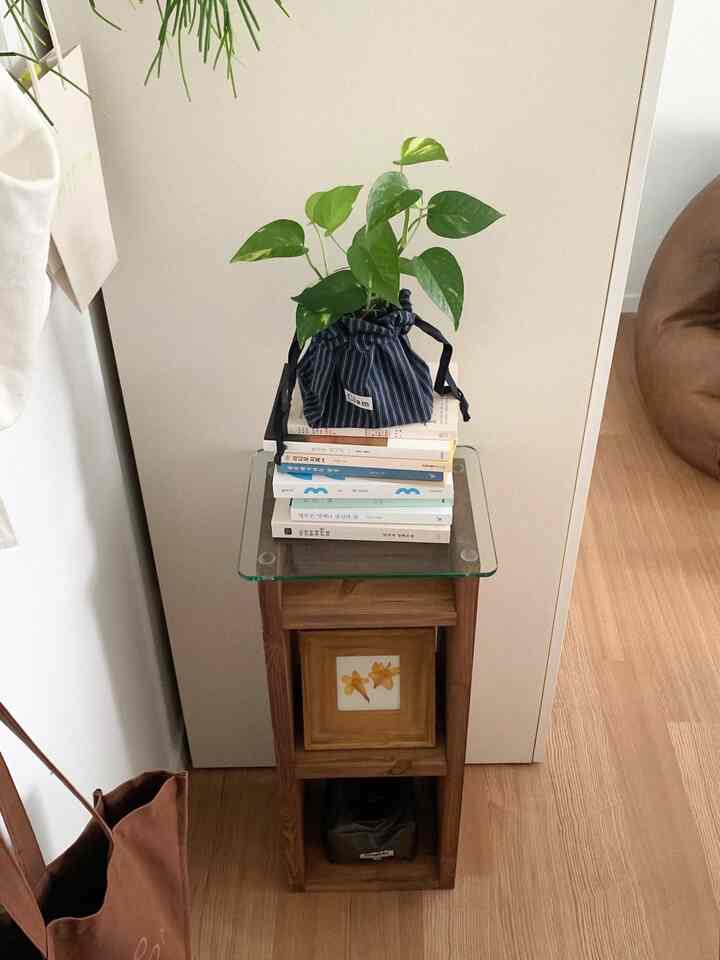 ナチュラルな木目調の小さな玄関スペース、サイドテーブルの上に観葉植物が置かれた落ち着いた雰囲気のインテリア