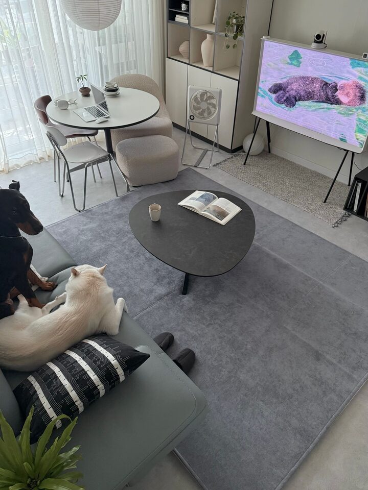 short form carousel card thumbnail