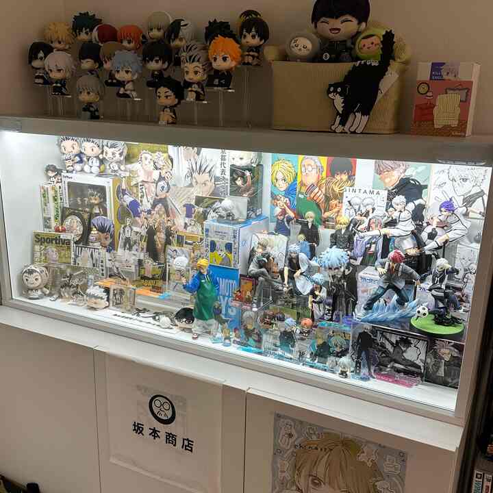 白を基調としたオタク部屋、大型のフィギュア飾り棚に多彩なアニメフィギュアが整然と展示された空間