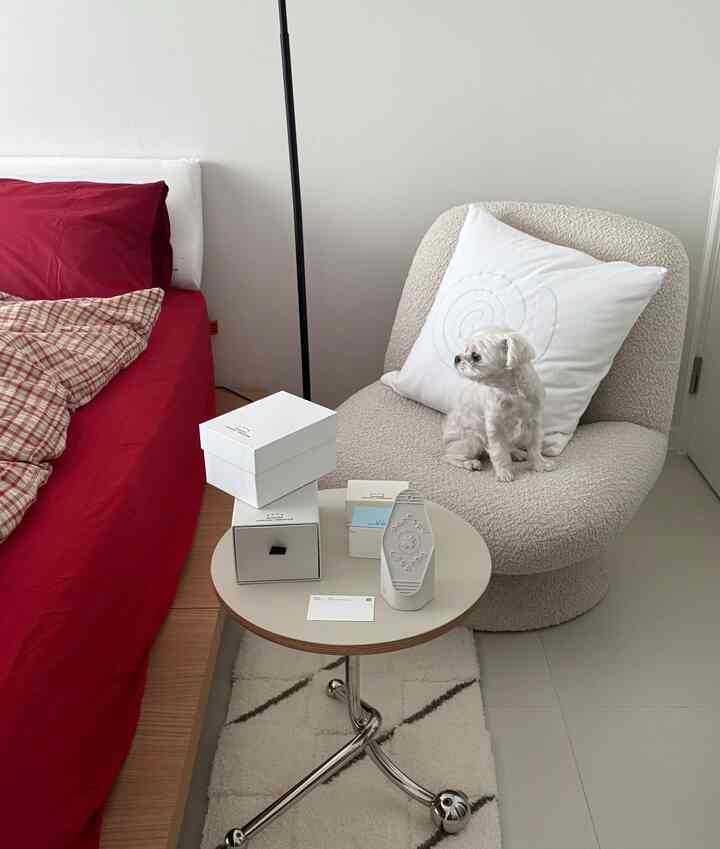 白と赤のトーンの寝室、左にベッド、右に柔らかいアームチェアに犬が座っている、温かみのある雰囲気のインテリア