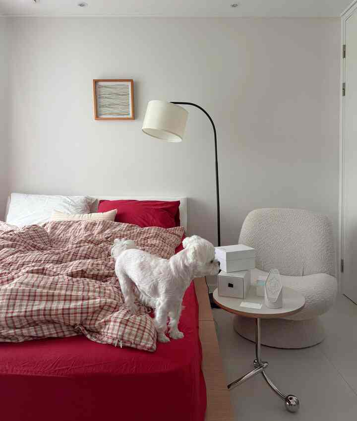 白と赤の色調が調和した寝室、赤い寝具と白いアームチェア、フロアランプが配置された雰囲気のあるインテリア
