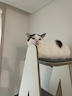 게시글 미리보기 이미지 2