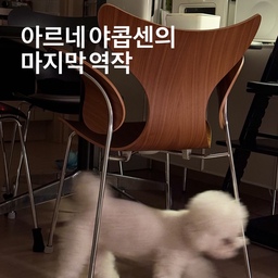 프리츠한센을 대표하는 디자이너. 아르네 야콥센.
세븐체어도 유명하지만,
아르네 야콥센의 마지막 디자인이었던 릴리체어를 의외로 
잘 모르시는 분도 있으시더라구요.
와이드한 숄더에 잘록하고 슬림한 허리라인이
곡선의 미를 더욱 유려하게 만들어줍니다.
실사용 해보신 분은 아시겠지만,
굉장히 편한 체어 입니다. 1970년에 디자인 된 체어라고는 믿기힘든 
곡선에 인체공학까지 더해져서 그런것이 아닐까요.
저희집 다이닝 공간을 더욱 풍성하게 만들어주는
프리츠한센 의자들인데, 어젠 유독 릴리체어의 뒷태가 예뻐보여서
잠들기전 또 한 컷 찍고 잠이 들었습니다.
Simply하고 Compact하게 가볍게 둘 체어를 찾으셨다면,
릴리체어는 어떠실까요 🖤😎
#릴리체어 #프리츠한센 #프리츠한센의자 #fritzhansen #다이닝체어 #arnejacobsen #아르네야콥센 #아르네야콥센의자 #덴마크디자인
