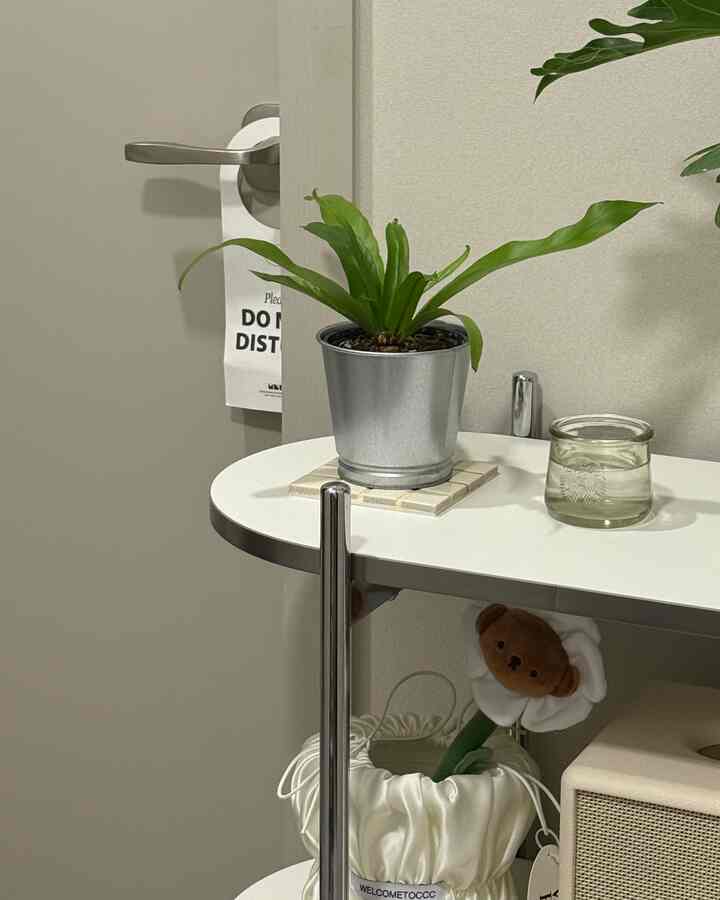 ホワイトとグレーのトーンの室内、植物とキャンドルが置かれたシンプルで清潔感のあるサイドテーブル空間