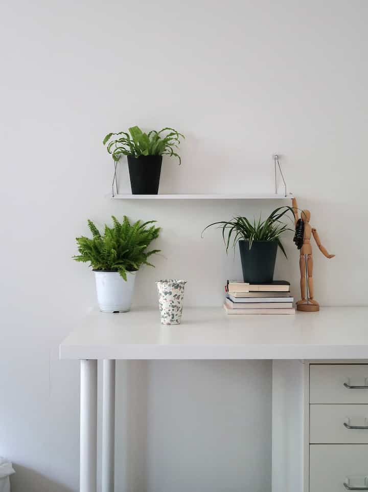 #コンスープ

私は今回入ってきた今日の家の最初のポイントを集めました。
植木鉢と植物を購入してみましたㅎㅎ
IKEA 3段旋盤も横に置いておいて買ったのに期待中ですㅎㅎ😆😆

みんなポイントで何を買いましたか？

＃メアパール＃サンパル＃植物＃シェルフインテリア＃フォロー＃サンパルマッパー＃メイド歓迎 